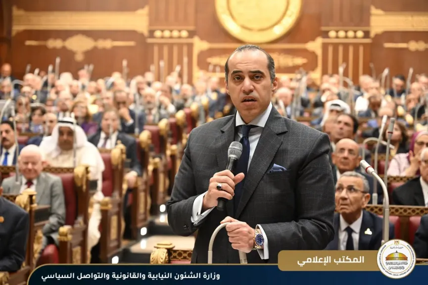 المستشار محمود فوزي