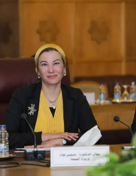 الدكتورة ياسمين فواد