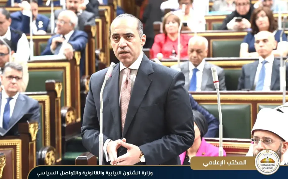 المستشار محمود فوزى 
