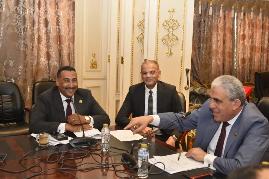 النائب محمد الجبلاوى أمام لجنة قوى عاملة النواب