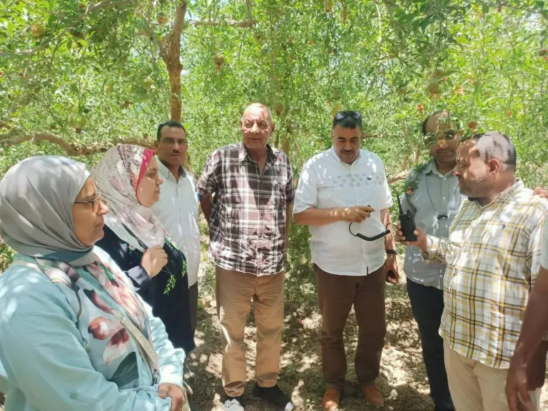 جانب من متابعه 