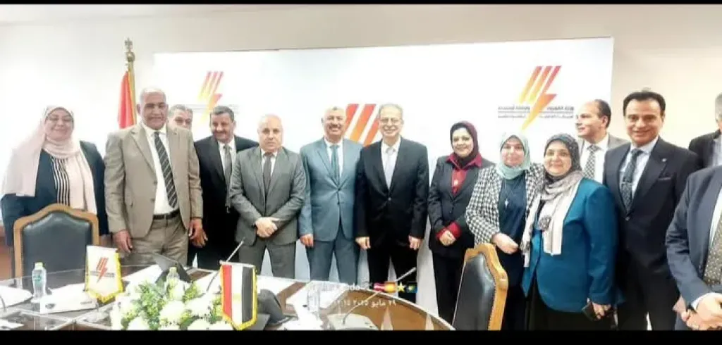 شركة جنوب الدلتا