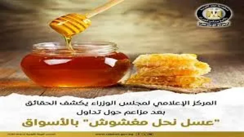 مجلس الوزراء 