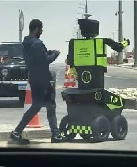 روبرت المرور 