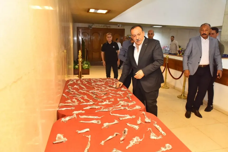 محافظ أسيوط 