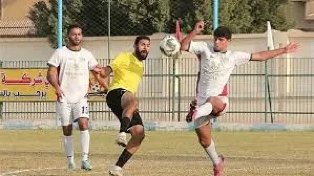 دوري المحترفين