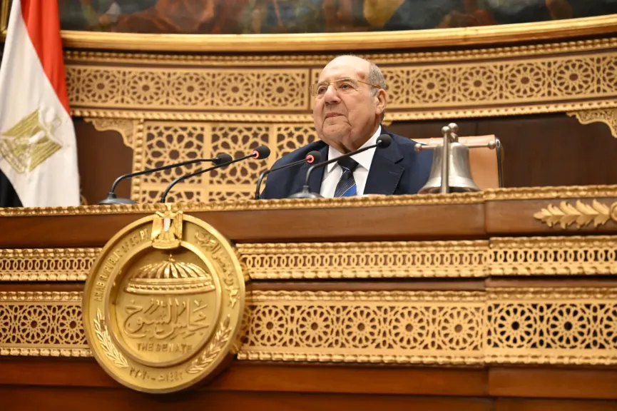 المستشار عبد الوهاب عبد الرازق