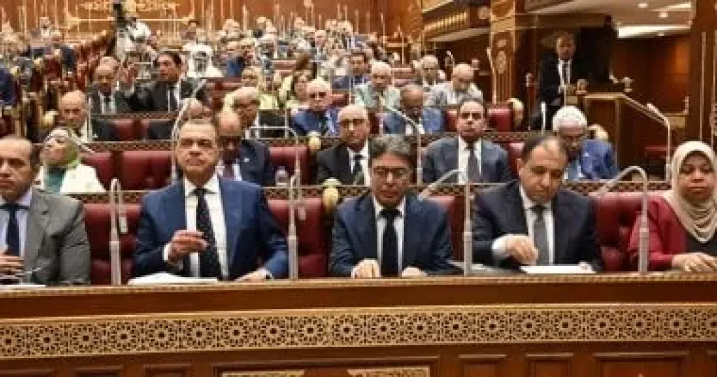 الجلسة العامة
