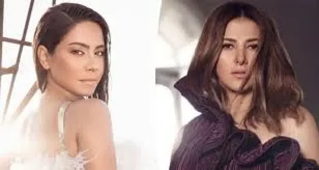 شيرين ودنيا سمير غانم