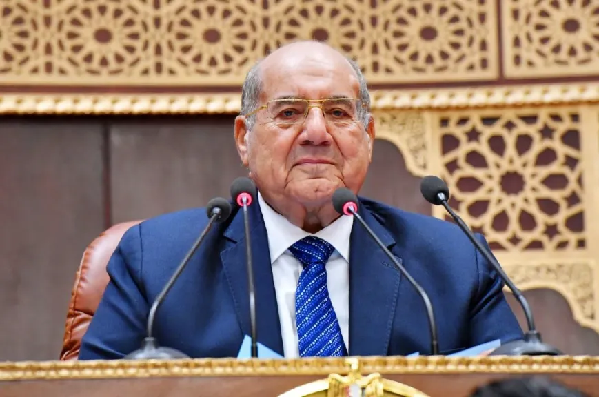 المستشار عبد الوهاب عبد الرزاق 