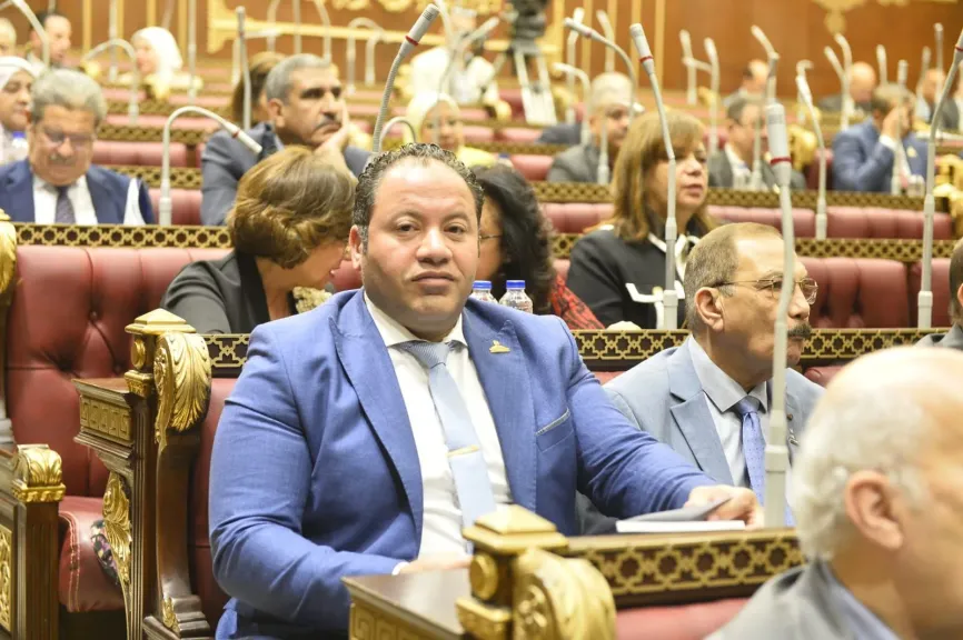 النائب مصطفى سالمان
