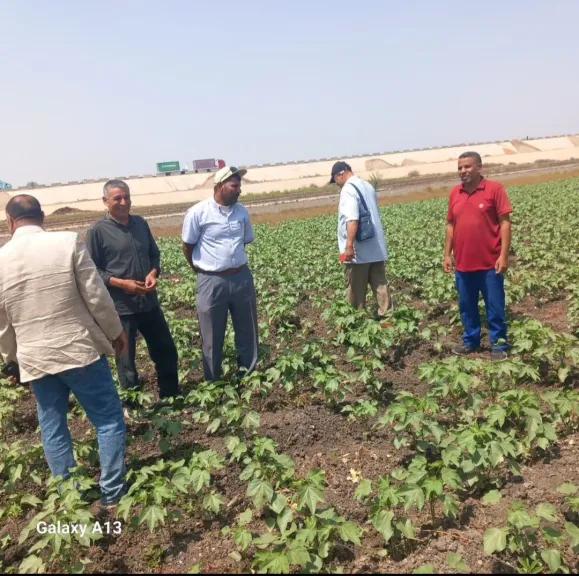 حانب من الفعاليات 