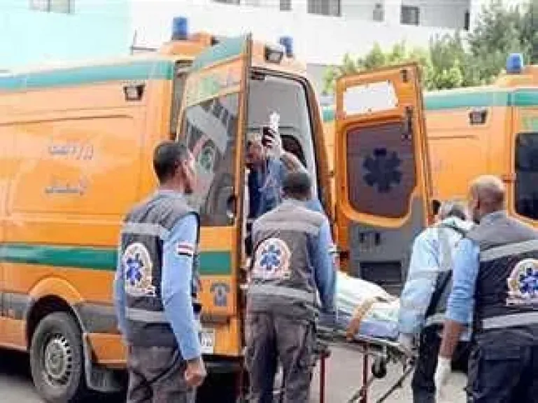 إبراهيم السعيد عز الدين
