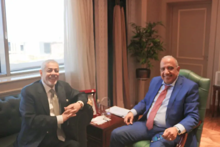 وزير الكهرباء