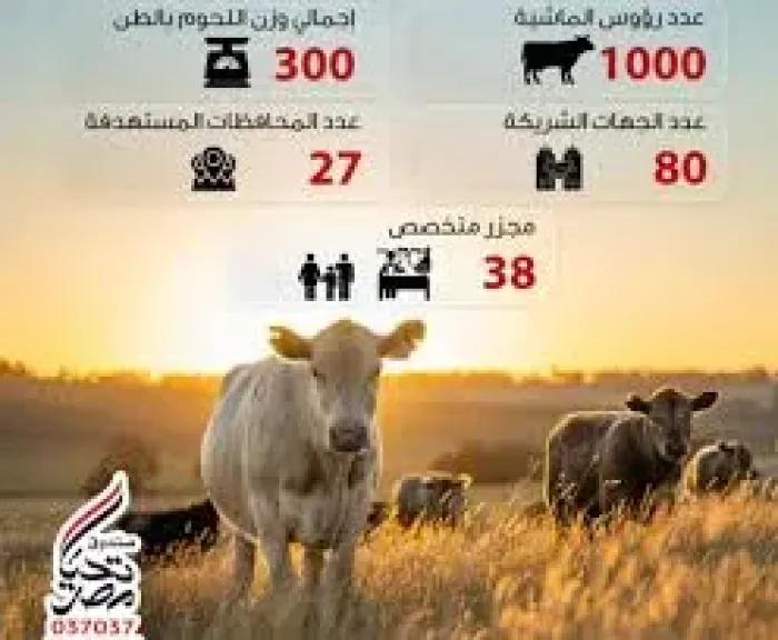 صندوق تحيا مصر 