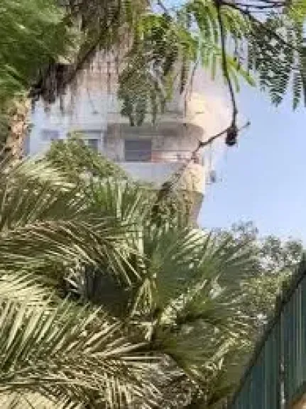 حديقة حيوان الجيزة