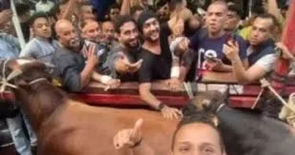 احمد العوضي يذبح 