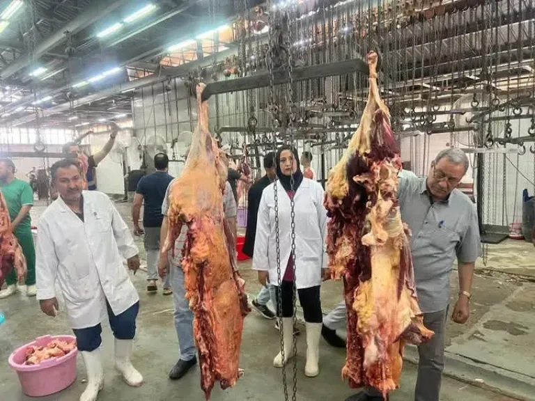 المجازر الحكوميه