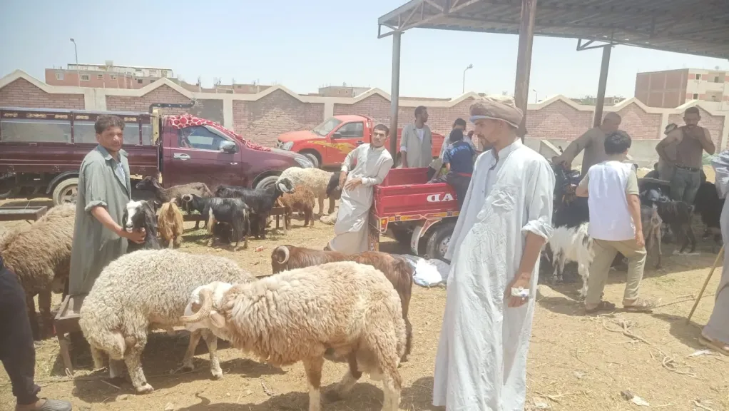 عيد الاضحى