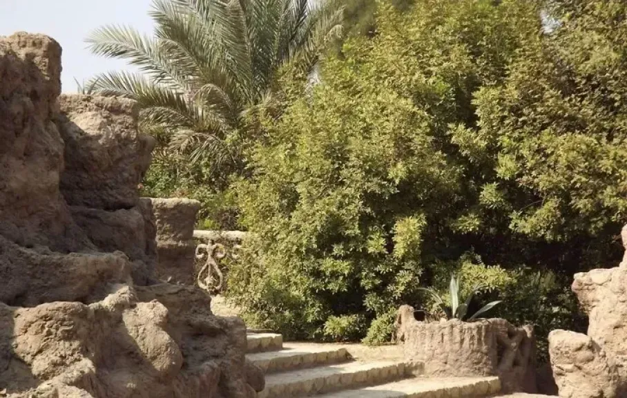 زراعة 