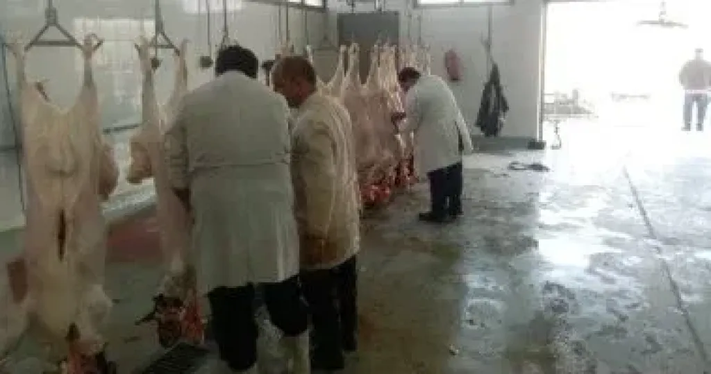 الذبح فى المجازر