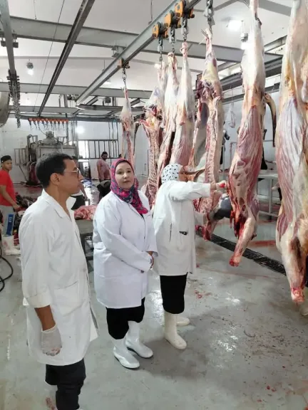  20 ألف أضحية بالمجازر الحكومية 