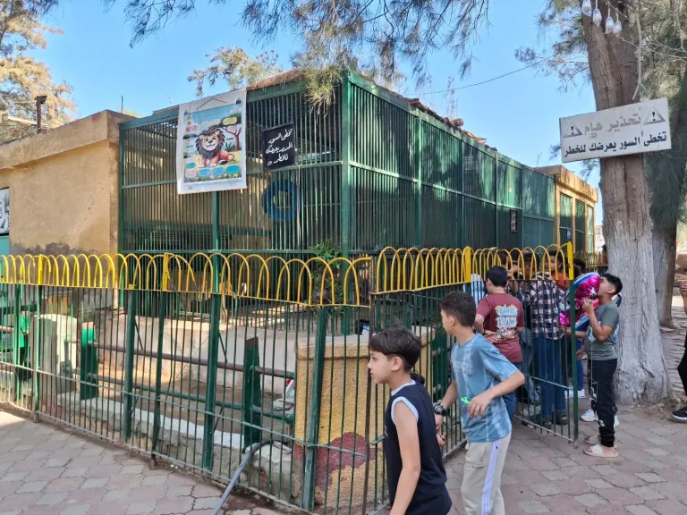 احتفالات العيد 