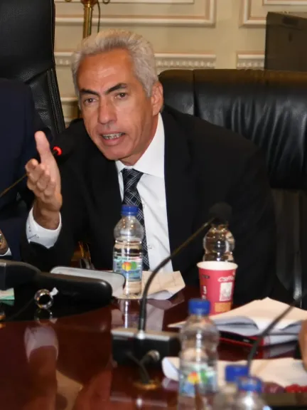 النائب عمرو السنباطي،