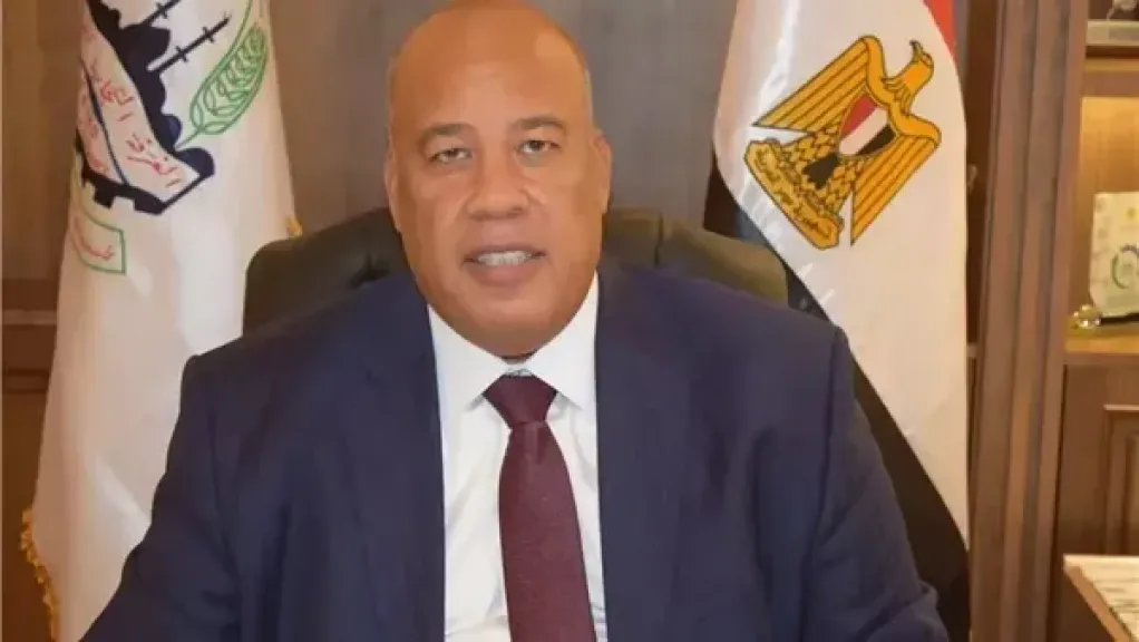 ايمن العشري 