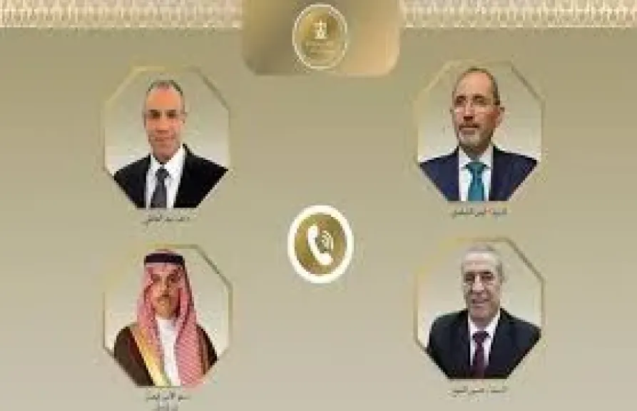 جانب من المداخلات 