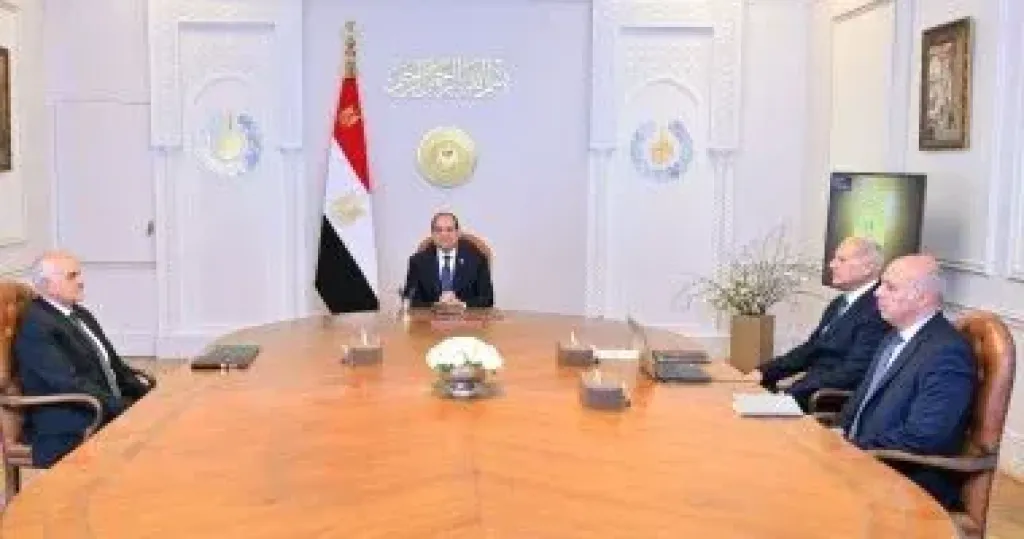  الرئيس السيسي