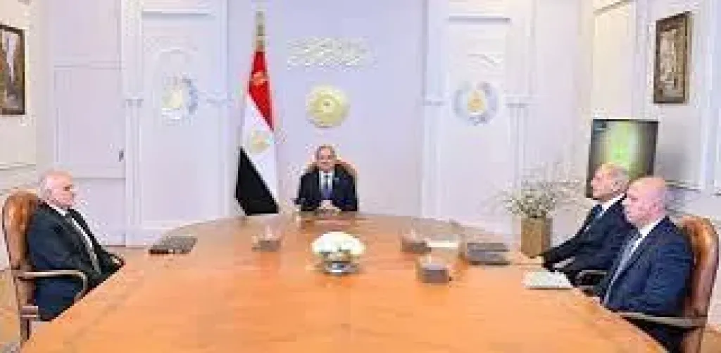 الرئيس السيسي 