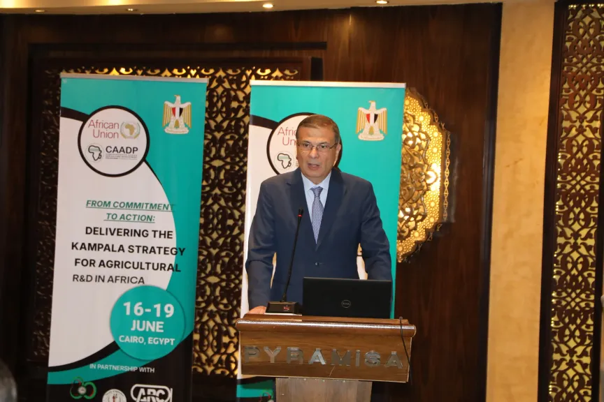 السيد علاء فاروق