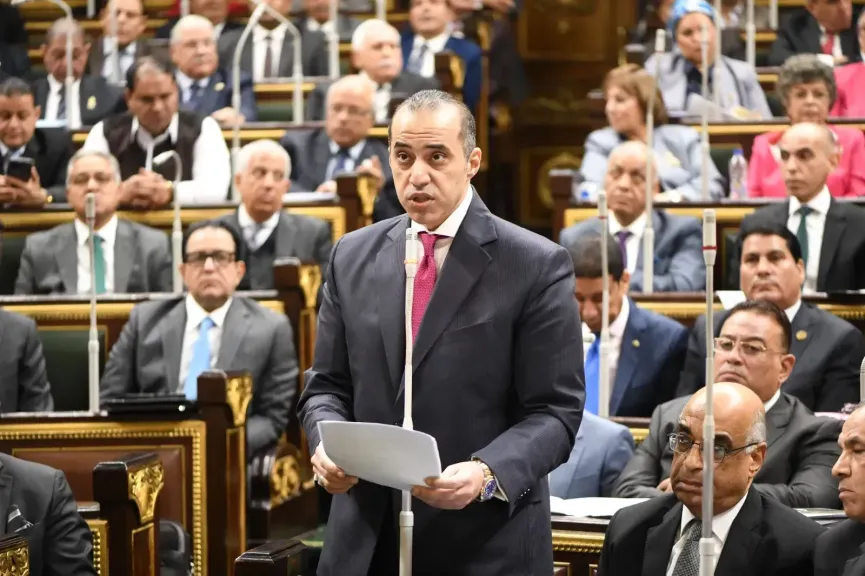 المستشار محمود فوزى