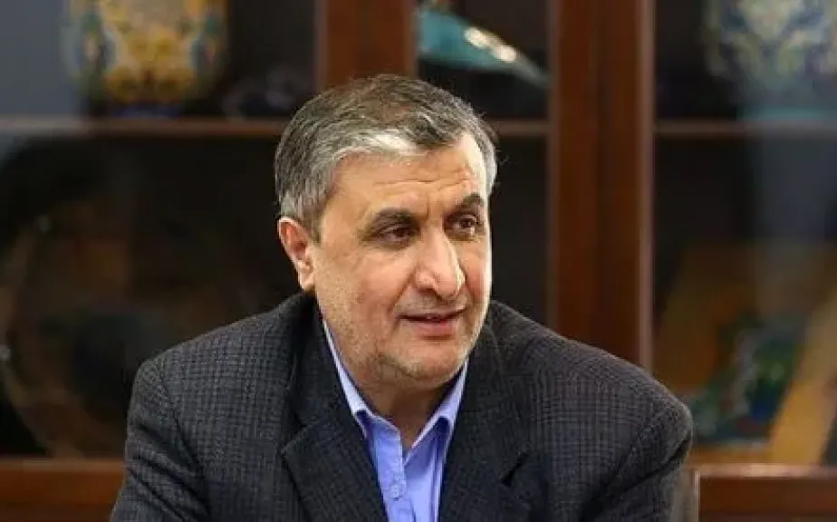رئيس منظمة الطاقة