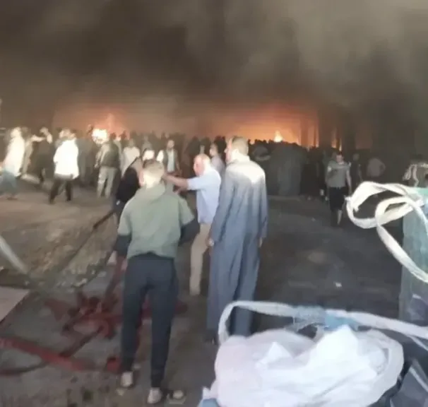 بطاطس