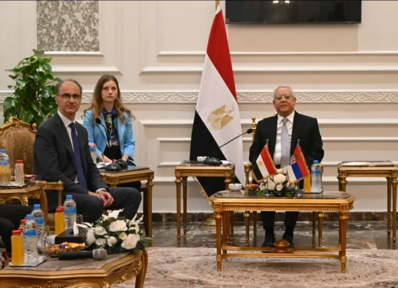حنفى الجبالى