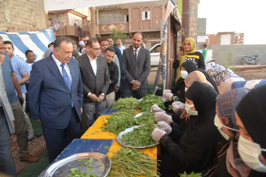 محافظ أسيوط 