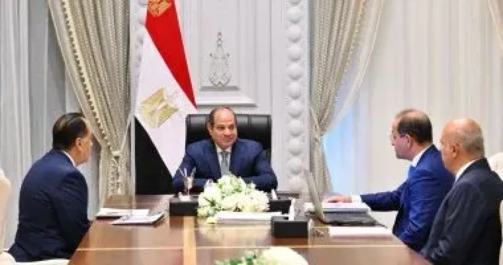 الرئيس السيسي خلال الاجتماع