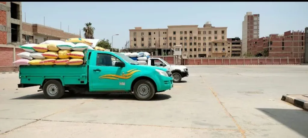 جانب من القمح 