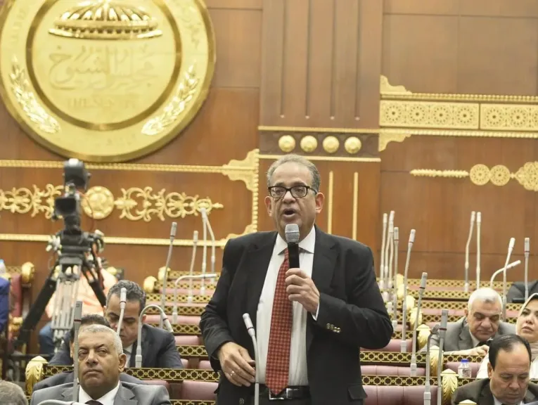 النائب طارق عبد العزيز