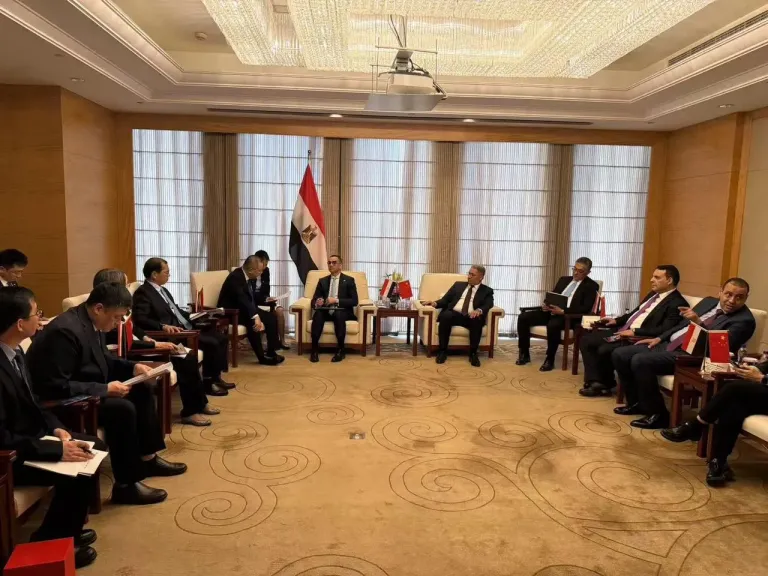 جانب من لقاء وزير الاستثمار