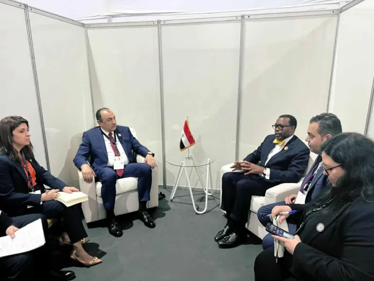جانب من اللقاء