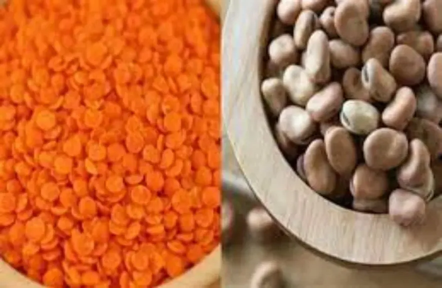 السلع الأساسية 