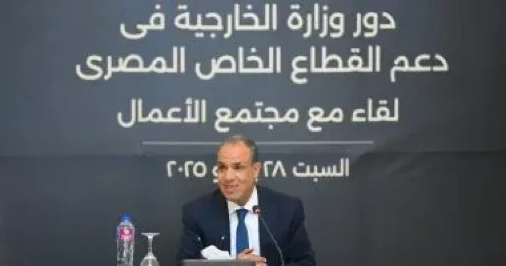 وزير الخارجية بدر عبد العاطى
