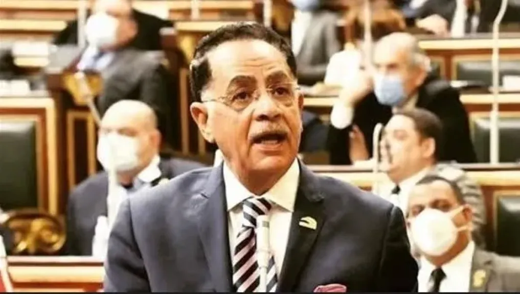 النائب أحمد حجازي