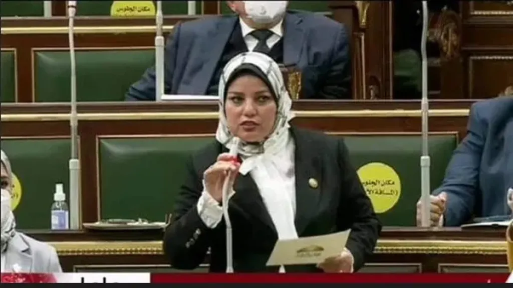  النائبة سلمى مراد-