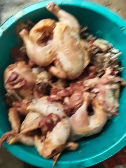 جانب من متابعه 