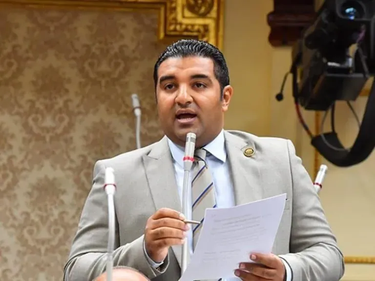 النائب محمود عصام 
