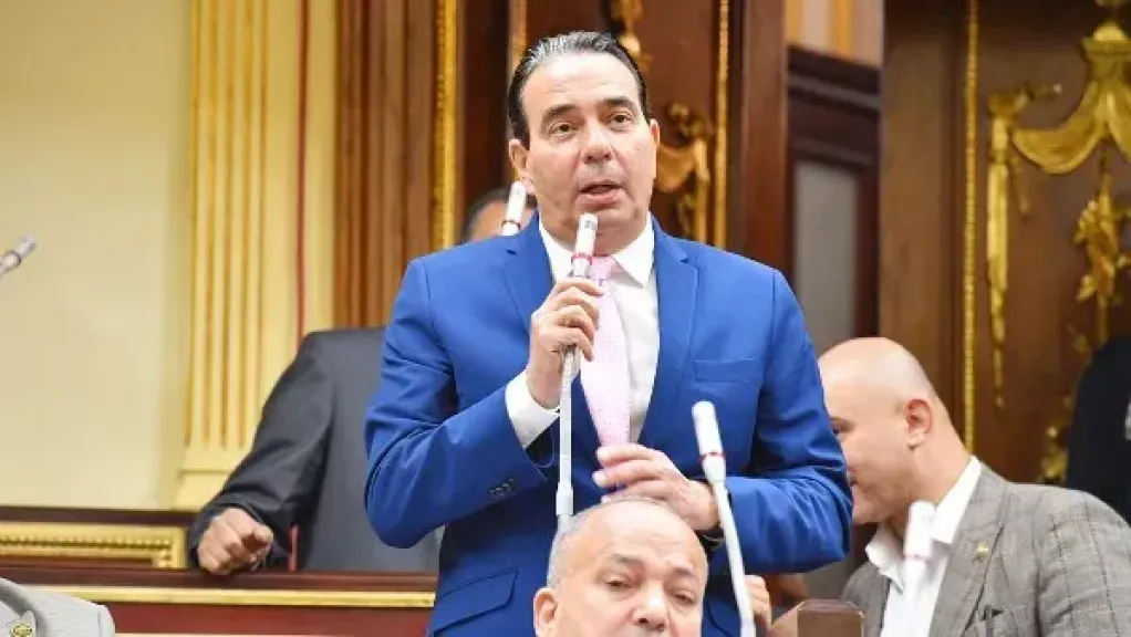 النائب ايمن أبو العلا
